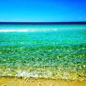 Paintings using Acrylic and watercolor on canvas.